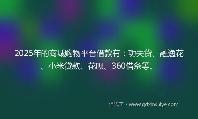 2025年的商城购物平台借款有：功夫贷、融逸花、小米贷款、花呗、360借条等。