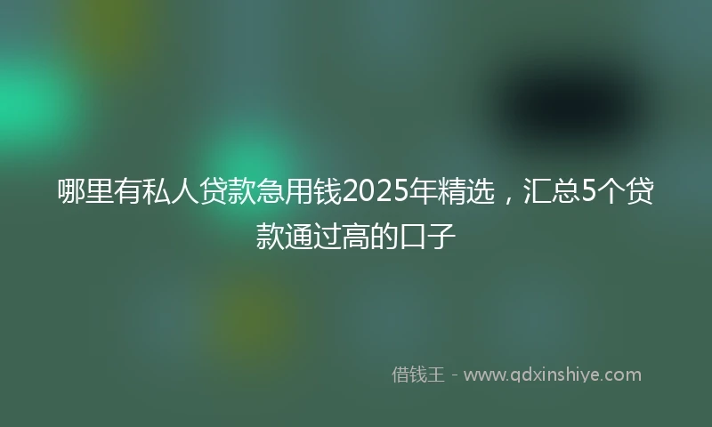 哪里有私人贷款急用钱2025年精选，汇总5个贷款通过高的口子