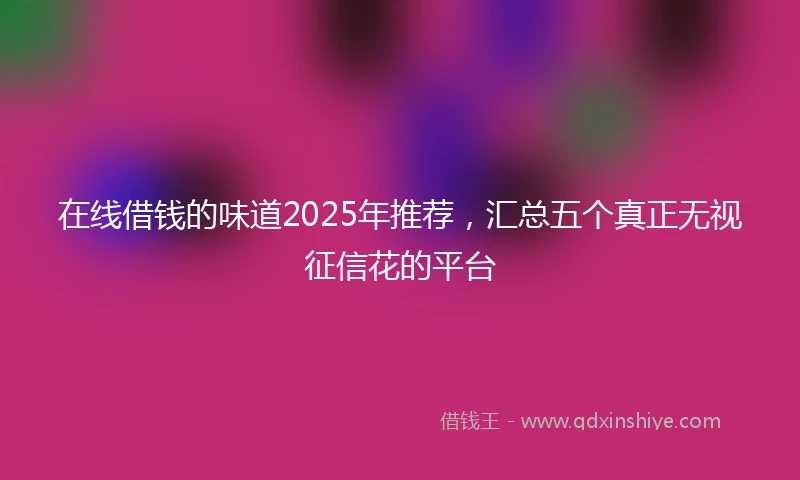 在线借钱的味道2025年推荐，汇总五个真正无视征信花的平台