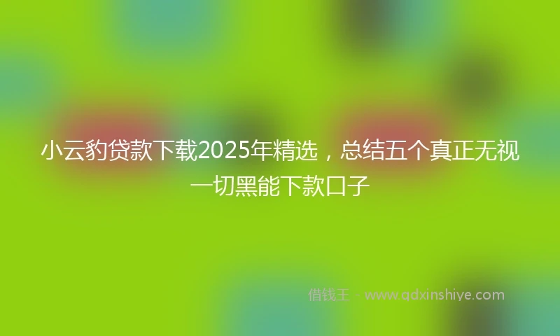 小云豹贷款下载2025年精选，总结五个真正无视一切黑能下款口子