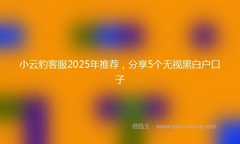 小云豹客服2025年推荐，分享5个无视黑白户口子