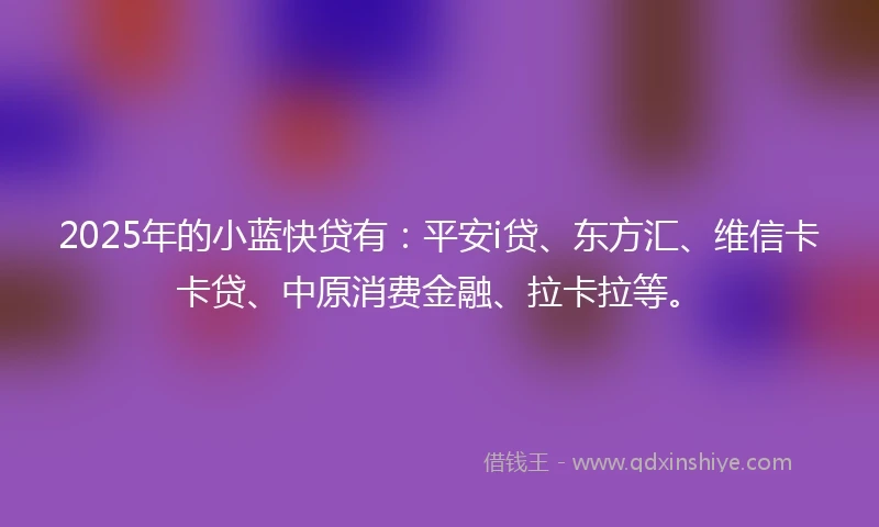 2025年的小蓝快贷有：平安i贷、东方汇、维信卡卡贷、中原消费金融、拉卡拉等。