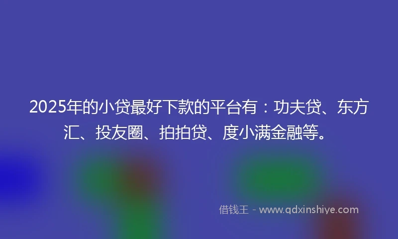 2025年的小贷最好下款的平台有：功夫贷、东方汇、投友圈、拍拍贷、度小满金融等。