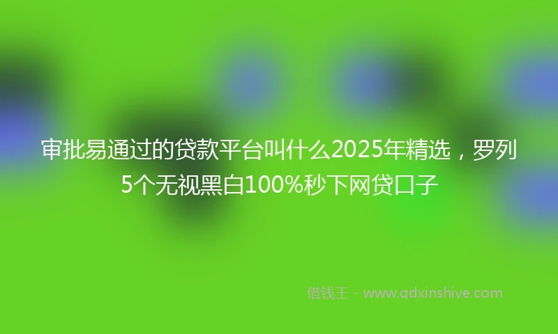 审批易通过的贷款平台叫什么2025年精选，罗列5个无视黑白100%秒下网贷口子