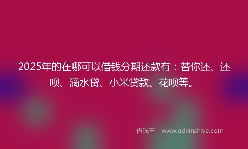 2025年的在哪可以借钱分期还款有：替你还、还呗、滴水贷、小米贷款、花呗等。