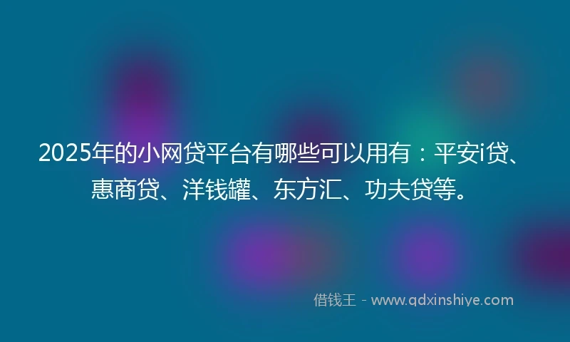 2025年的小网贷平台有哪些可以用有：平安i贷、惠商贷、洋钱罐、东方汇、功夫贷等。