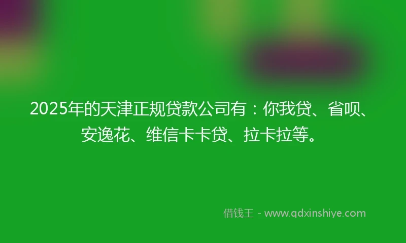 2025年的天津正规贷款公司有：你我贷、省呗、安逸花、维信卡卡贷、拉卡拉等。