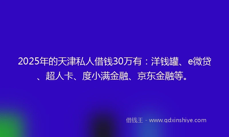 2025年的天津私人借钱30万有：洋钱罐、e微贷、超人卡、度小满金融、京东金融等。