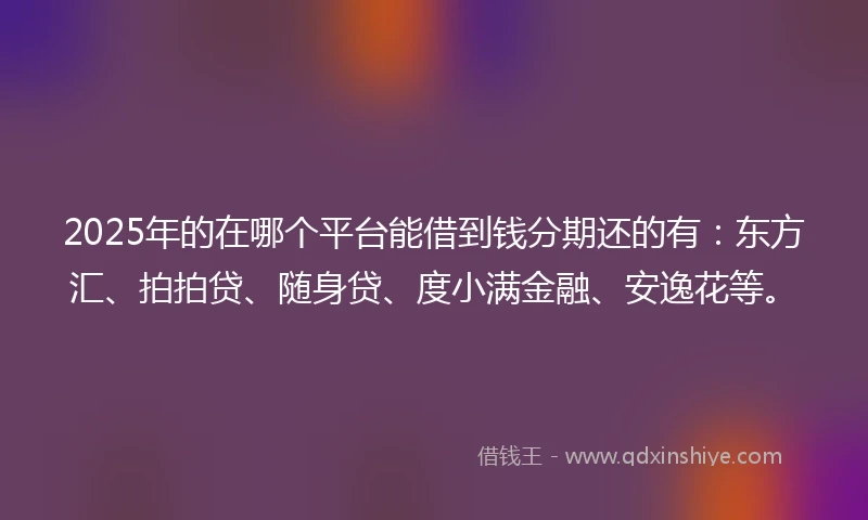 2025年的在哪个平台能借到钱分期还的有：东方汇、拍拍贷、随身贷、度小满金融、安逸花等。