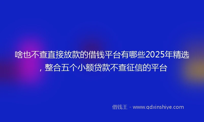 啥也不查直接放款的借钱平台有哪些2025年精选，整合五个小额贷款不查征信的平台