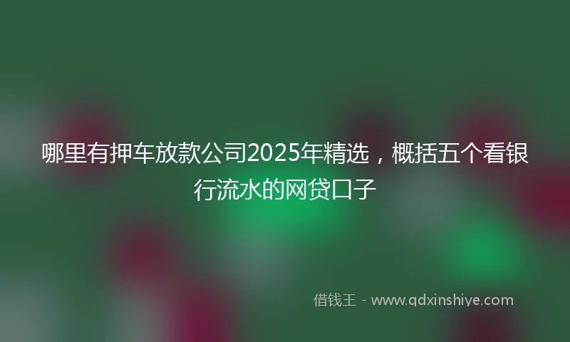哪里有押车放款公司2025年精选，概括五个看银行流水的网贷口子