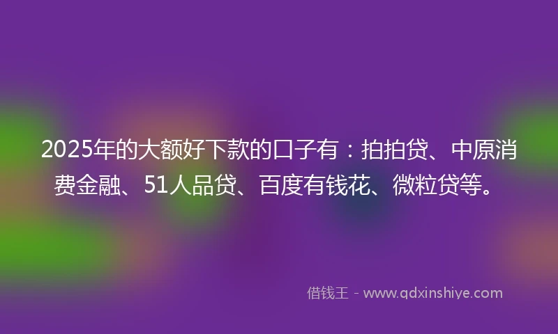 2025年的大额好下款的口子有：拍拍贷、中原消费金融、51人品贷、百度有钱花、微粒贷等。