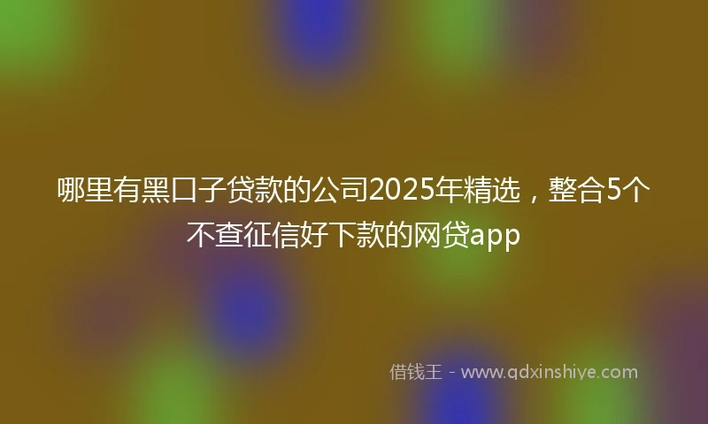 哪里有黑口子贷款的公司2025年精选，整合5个不查征信好下款的网贷app