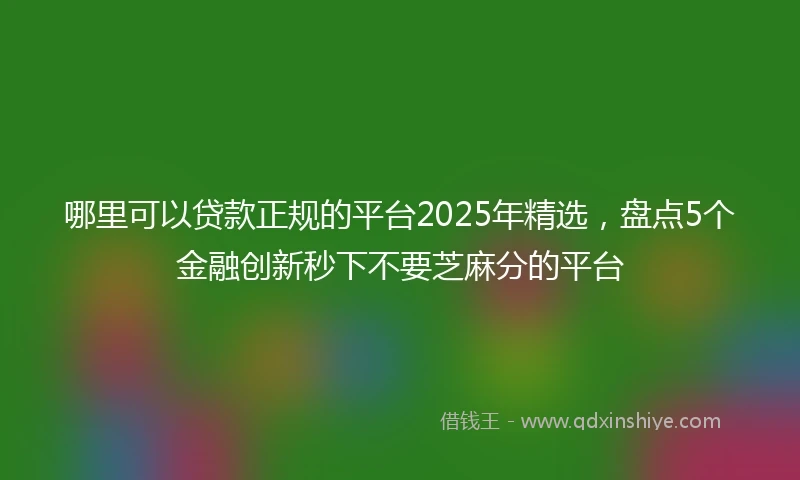哪里可以贷款正规的平台2025年精选，盘点5个金融创新秒下不要芝麻分的平台