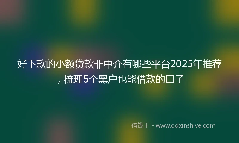 好下款的小额贷款非中介有哪些平台2025年推荐，梳理5个黑户也能借款的口子
