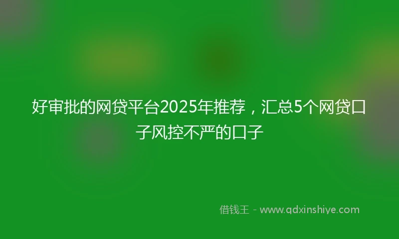好审批的网贷平台2025年推荐，汇总5个网贷口子风控不严的口子