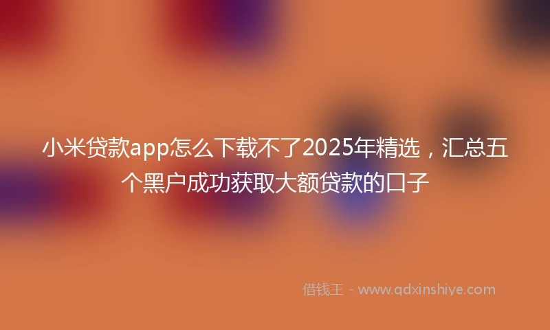小米贷款app怎么下载不了2025年精选，汇总五个黑户成功获取大额贷款的口子