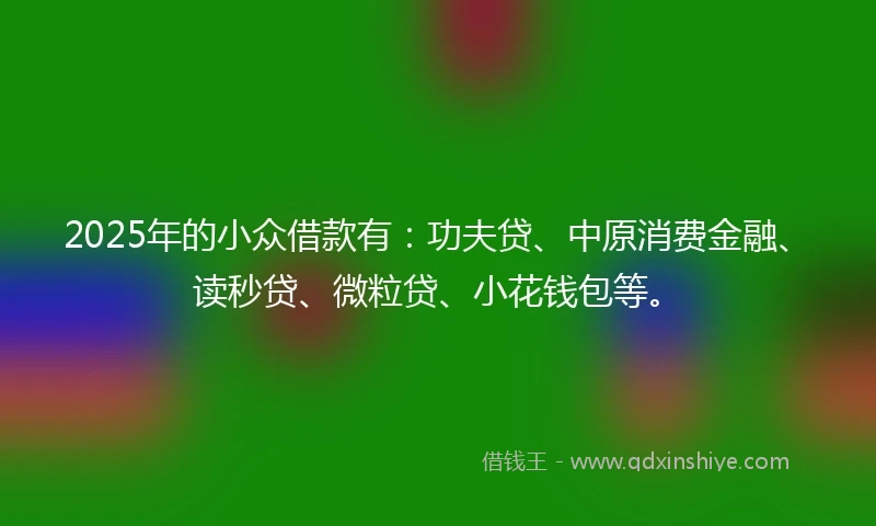2025年的小众借款有：功夫贷、中原消费金融、读秒贷、微粒贷、小花钱包等。