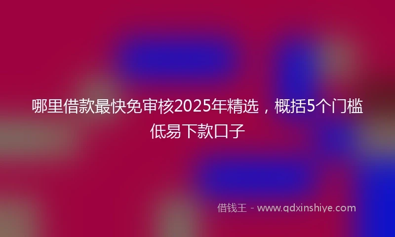 哪里借款最快免审核2025年精选，概括5个门槛低易下款口子