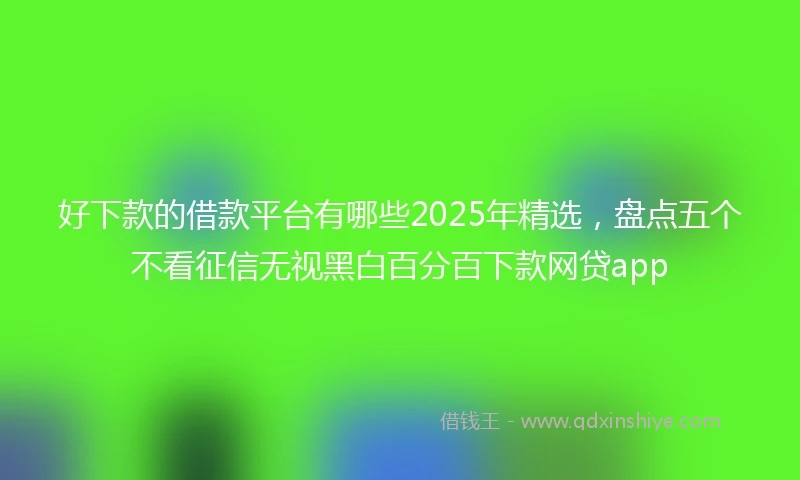 好下款的借款平台有哪些2025年精选，盘点五个不看征信无视黑白百分百下款网贷app