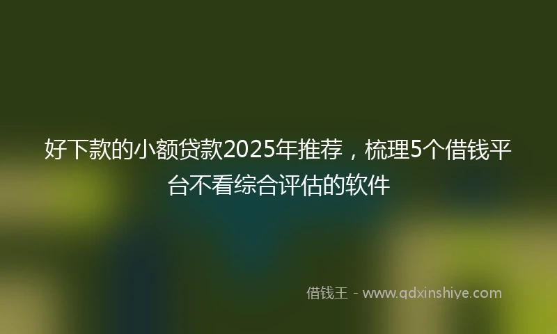 好下款的小额贷款2025年推荐,梳理5个借钱平台不看综合评估的软件