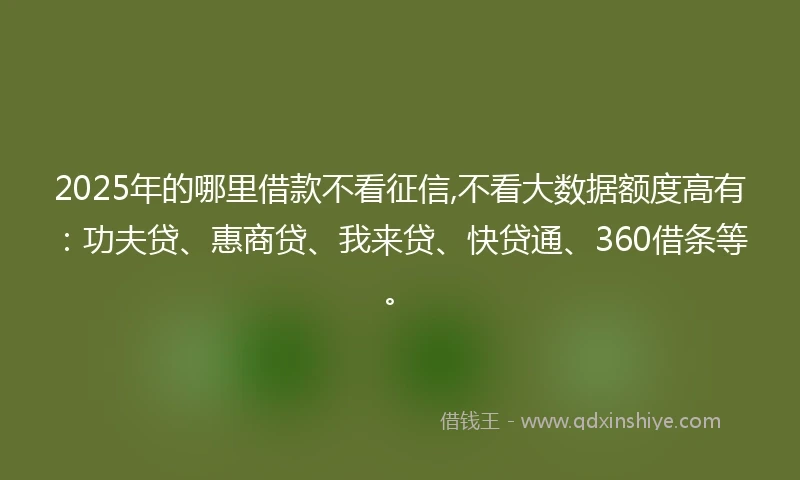 2025年的哪里借款不看征信,不看大数据额度高有：功夫贷、惠商贷、我来贷、快贷通、360借条等。