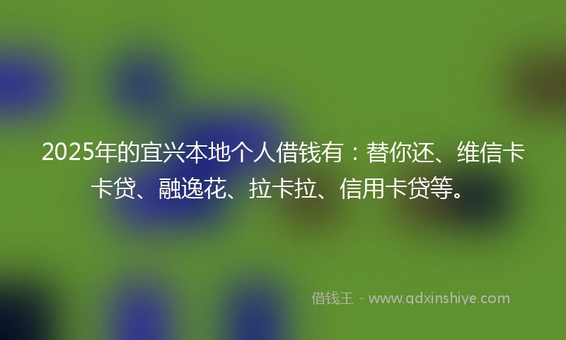 2025年的宜兴本地个人借钱有：替你还、维信卡卡贷、融逸花、拉卡拉、信用卡贷等。