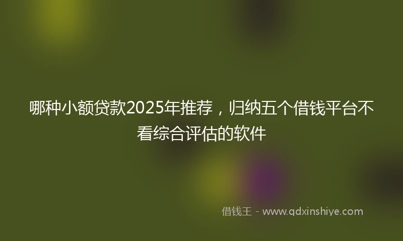 哪种小额贷款2025年推荐，归纳五个借钱平台不看综合评估的软件