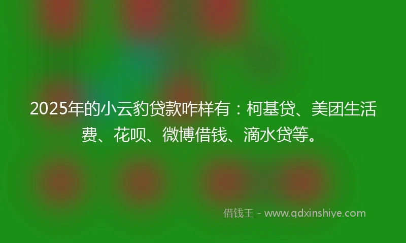 2025年的小云豹贷款咋样有：柯基贷、美团生活费、花呗、微博借钱、滴水贷等。