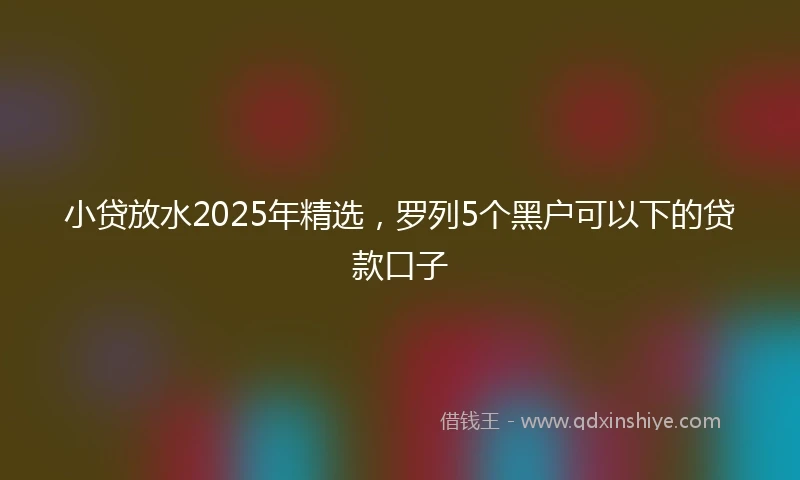 小贷放水2025年精选，罗列5个黑户可以下的贷款口子