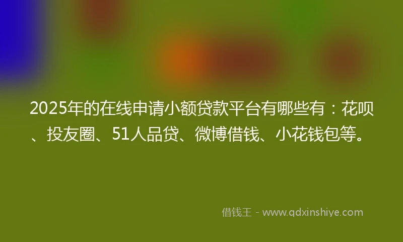2025年的在线申请小额贷款平台有哪些有：花呗、投友圈、51人品贷、微博借钱、小花钱包等。