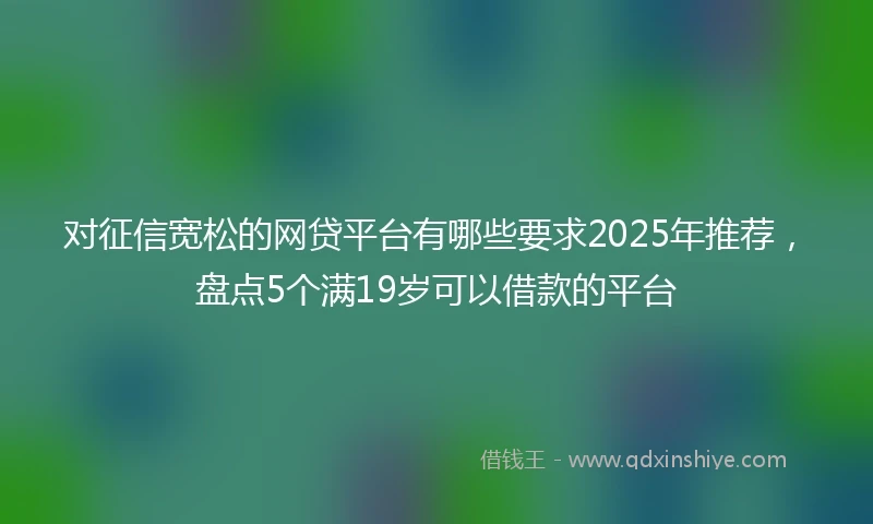 对征信宽松的网贷平台有哪些要求2025年推荐，盘点5个满19岁可以借款的平台