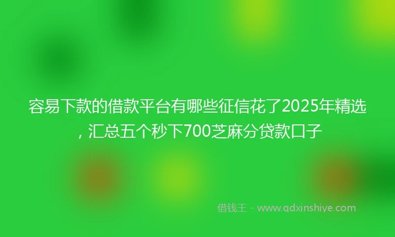 容易下款的借款平台有哪些征信花了2025年精选，汇总五个秒下700芝麻分贷款口子