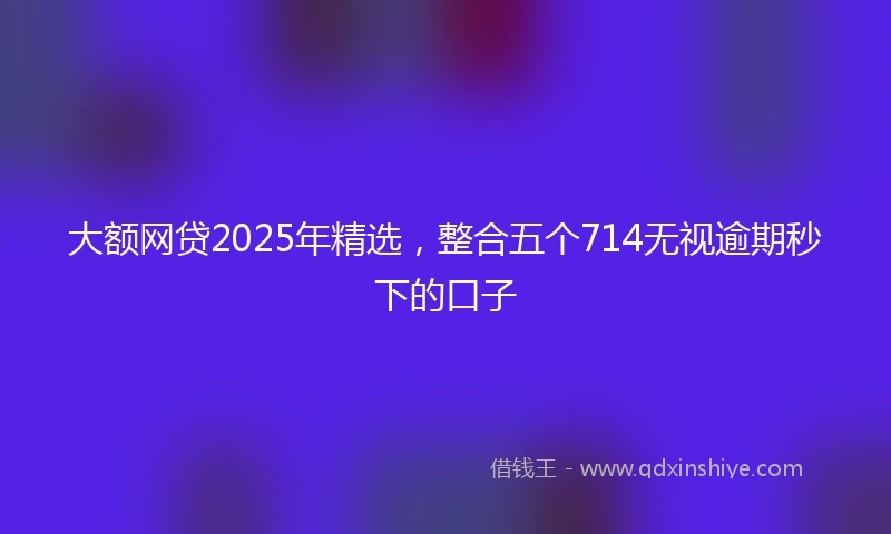 大额网贷2025年精选，整合五个714无视逾期秒下的口子
