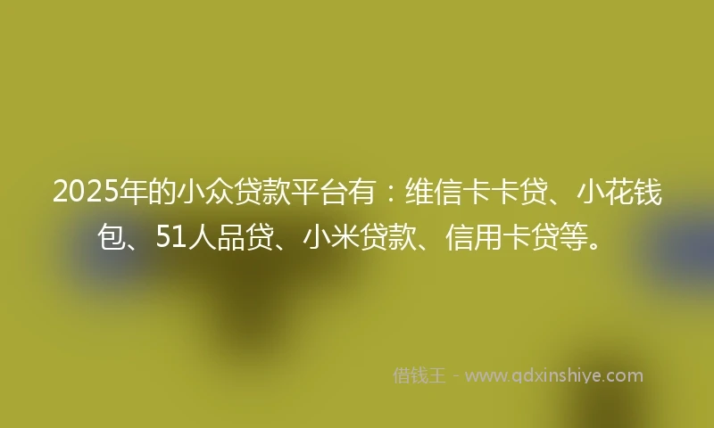 2025年的小众贷款平台有：维信卡卡贷、小花钱包、51人品贷、小米贷款、信用卡贷等。