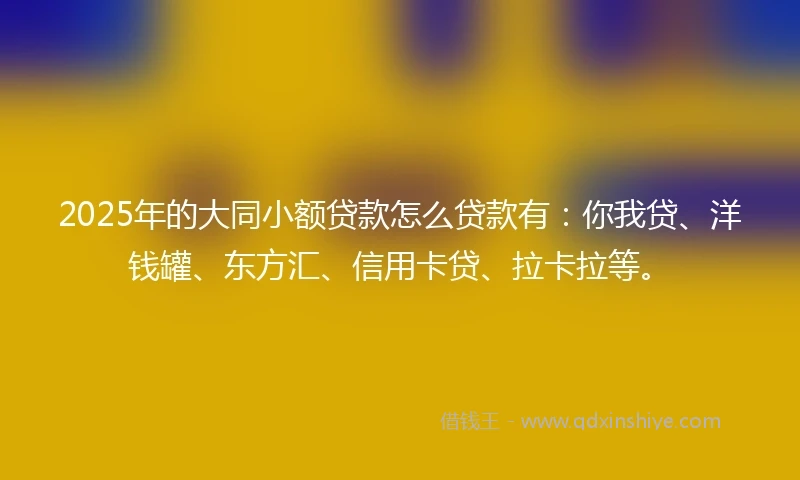 2025年的大同小额贷款怎么贷款有：你我贷、洋钱罐、东方汇、信用卡贷、拉卡拉等。