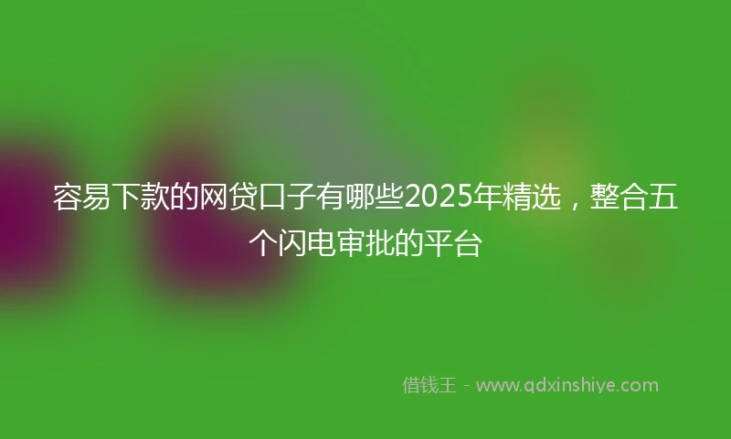 容易下款的网贷口子有哪些2025年精选，整合五个闪电审批的平台