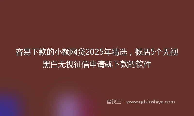 容易下款的小额网贷2025年精选，概括5个无视黑白无视征信申请就下款的软件