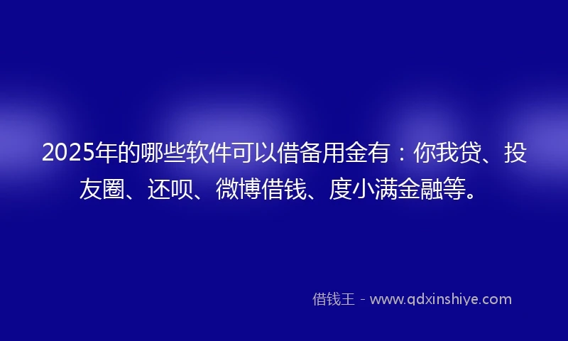 2025年的哪些软件可以借备用金有：你我贷、投友圈、还呗、微博借钱、度小满金融等。