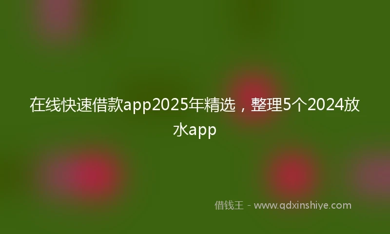 在线快速借款app2025年精选，整理5个2024放水app