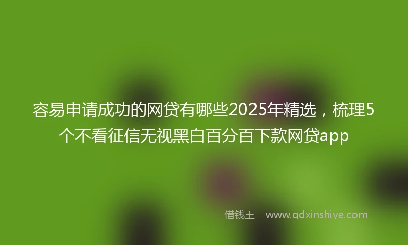 容易申请成功的网贷有哪些2025年精选，梳理5个不看征信无视黑白百分百下款网贷app