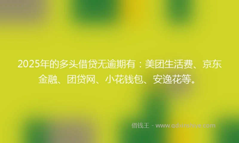 2025年的多头借贷无逾期有：美团生活费、京东金融、团贷网、小花钱包、安逸花等。