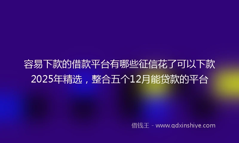容易下款的借款平台有哪些征信花了可以下款2025年精选，整合五个12月能贷款的平台