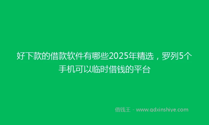 好下款的借款软件有哪些2025年精选，罗列5个手机可以临时借钱的平台