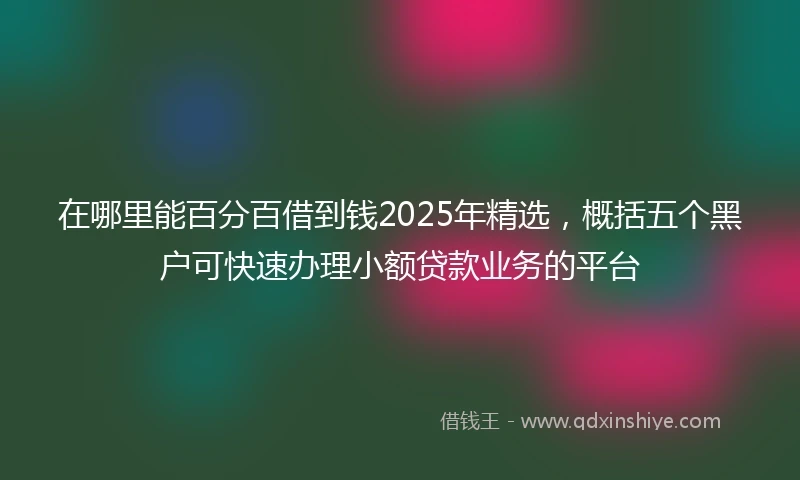 在哪里能百分百借到钱2025年精选，概括五个黑户可快速办理小额贷款业务的平台
