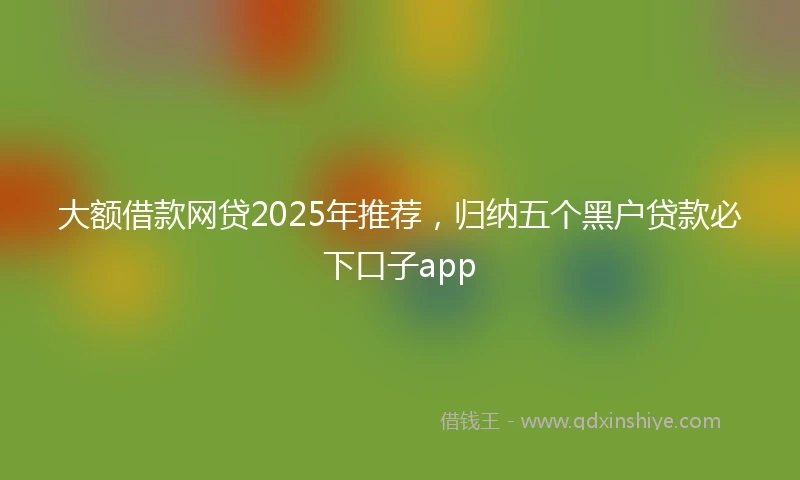 大额借款网贷2025年推荐，归纳五个黑户贷款必下口子app