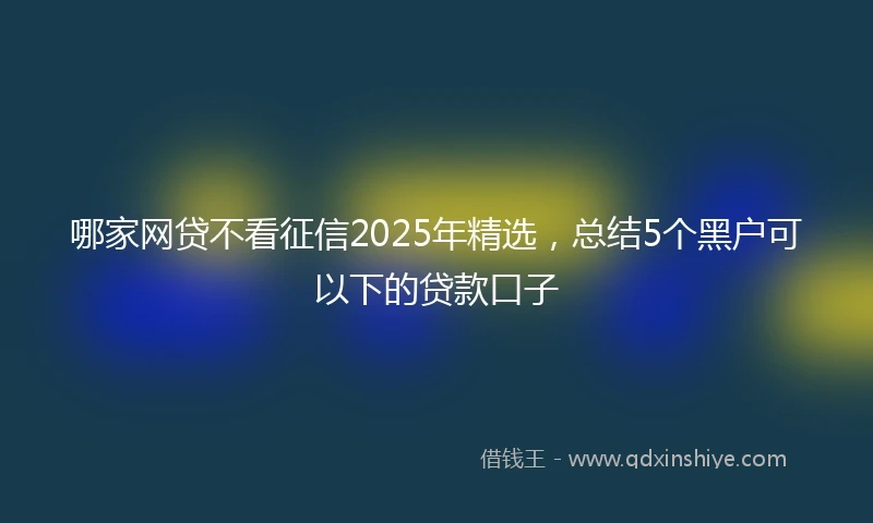哪家网贷不看征信2025年精选，总结5个黑户可以下的贷款口子