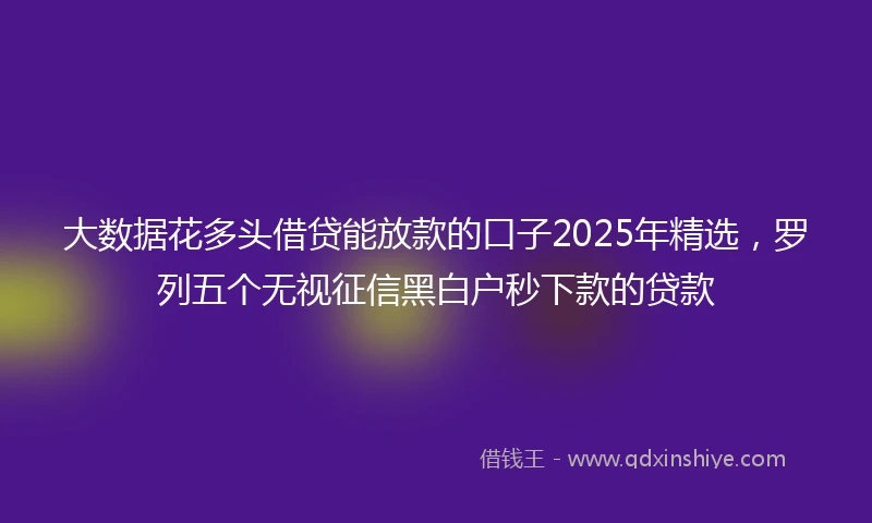 大数据花多头借贷能放款的口子2025年精选，罗列五个无视征信黑白户秒下款的贷款