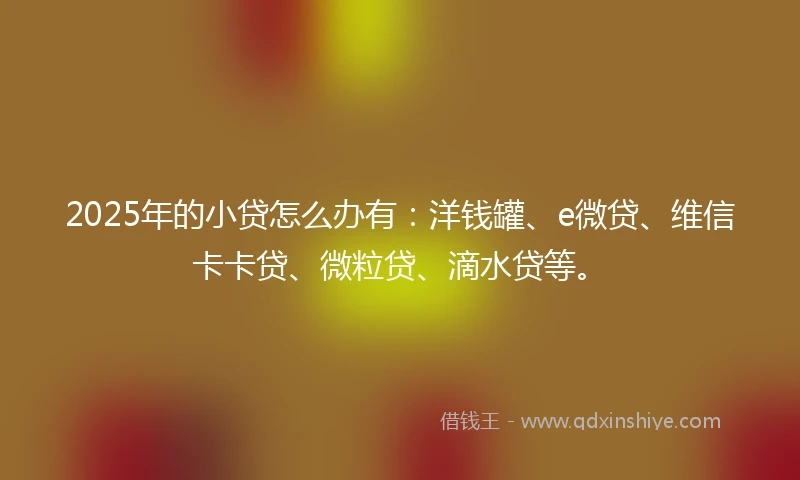 2025年的小贷怎么办有：洋钱罐、e微贷、维信卡卡贷、微粒贷、滴水贷等。