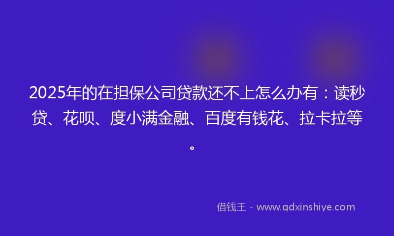 2025年的在担保公司贷款还不上怎么办有：读秒贷、花呗、度小满金融、百度有钱花、拉卡拉等。